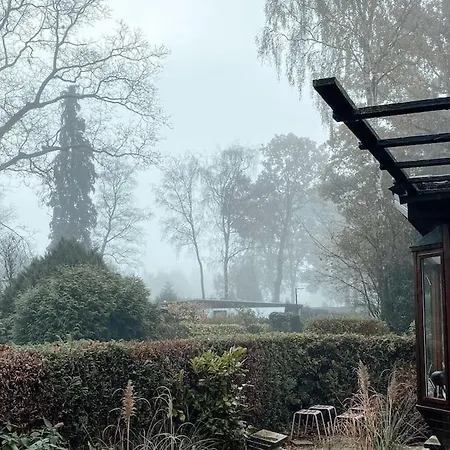 New Kleurrijke Oase Op Veluws Parkje *