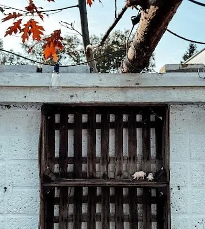 New Kleurrijke Oase Op Veluws Parkje Vakantiehuis