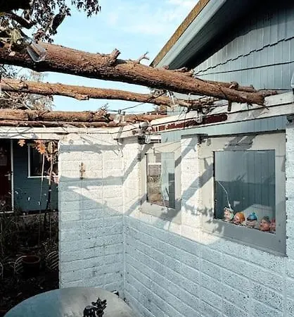 Vakantiehuis New Kleurrijke Oase Op Veluws Parkje Voorthuizen