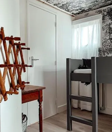 New Kleurrijke Oase Op Veluws Parkje