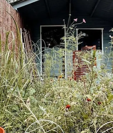 Vakantiehuis New Kleurrijke Oase Op Veluws Parkje