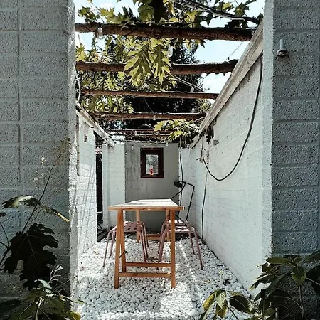 New Kleurrijke Oase Op Veluws Parkje Voorthuizen