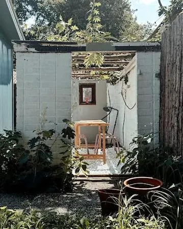 New Kleurrijke Oase Op Veluws Parkje *