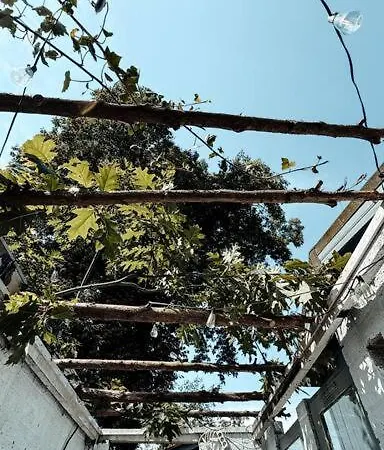 New Kleurrijke Oase Op Veluws Parkje