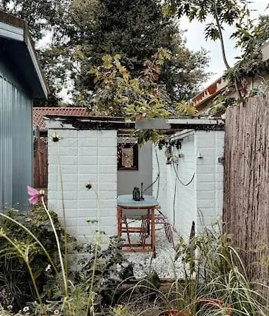 Vakantiehuis New Kleurrijke Oase Op Veluws Parkje