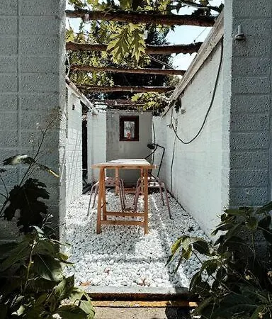 New Kleurrijke Oase Op Veluws Parkje *