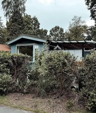 New Kleurrijke Oase Op Veluws Parkje Voorthuizen