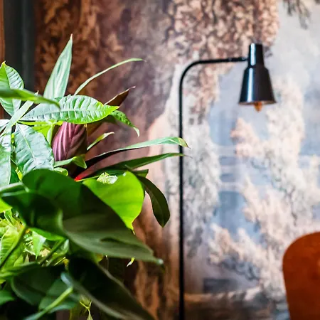 New Kleurrijke Oase Op Veluws Parkje