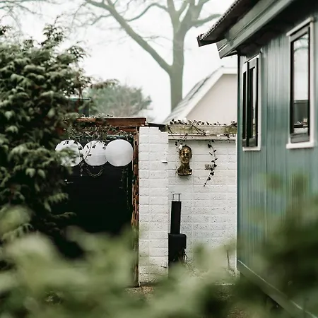 New Kleurrijke Oase Op Veluws Parkje *