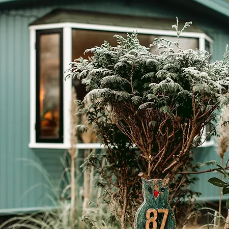 New Kleurrijke Oase Op Veluws Parkje * Voorthuizen