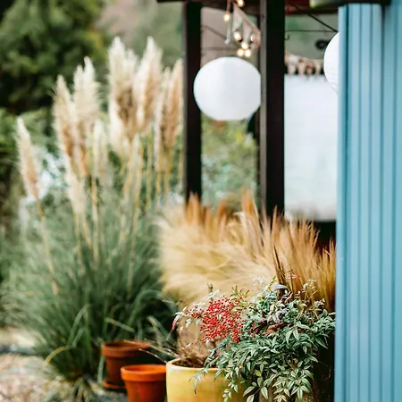 New Kleurrijke Oase Op Veluws Parkje *