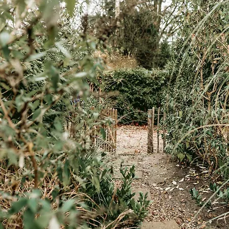 Vakantiehuis New Kleurrijke Oase Op Veluws Parkje *